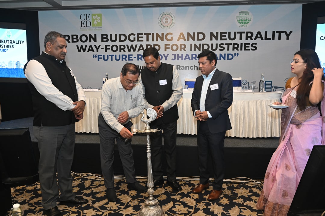 Carbon Budgeting and Neutrality