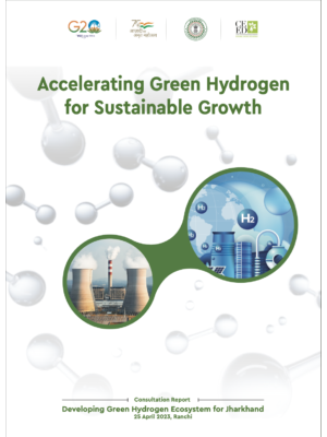 Accelerating Green Hydrogen for Sustainable Growth